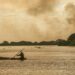 queimadas no Brasil, monitoramento de queimadas, MapBiomas, Cerrado, Amazônia, área queimada, incêndios florestais, meio ambiente, fiscalização ambiental, proteção de biomas, desmatamento, vegetação nativa, prevenção de queimadas