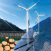 Brasil avança na sustentabilidade: energia solar e eólica correspondem a 23,7% da matriz elétrica em 2024. Participação de fontes renováveis chega a 88,2%, mantendo o país entre os mais limpos do mundo.