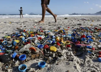 Academia Brasileira de Ciências lança relatório sobre microplásticos, destacando impactos ambientais e à saúde e propondo medidas urgentes de combate à poluição nos mares e rios.