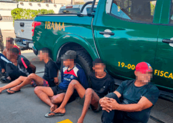 O Ibama e a Polícia Civil do Rio de Janeiro prenderam oito pessoas na Feira de Duque de Caxias por crimes contra a fauna e maus-tratos a animais silvestres, com apreensão de caranguejos, saguis, jacarés e jiboia.