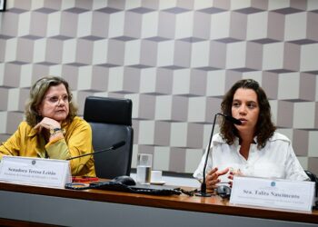 Senado debate novo Plano Nacional de Educação (2024-2034). Especialistas defendem mecanismos de fiscalização, responsabilidade e transparência para assegurar o cumprimento das metas e reduzir desigualdades.
