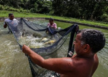 Projeto de lei garante direitos previdenciários a aquicultores familiares, incluindo aposentadoria e auxílio-doença. Iniciativa foca na região Norte.