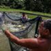 Projeto de lei garante direitos previdenciários a aquicultores familiares, incluindo aposentadoria e auxílio-doença. Iniciativa foca na região Norte.