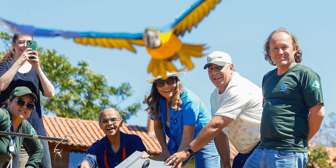 Marina Silva e Janja participam da soltura de 42 animais reabilitados no Cerrado.