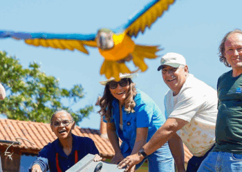 Marina Silva e Janja participam da soltura de 42 animais reabilitados no Cerrado.