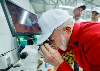 Com investimento de R$ 314 milhões, o Acelen Agripark pesquisa a macaúba para produção de Combustível Sustentável de Aviação e Diesel Verde, gerando empregos e promovendo a transição energética.