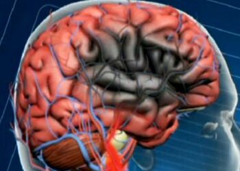 A campanha Agosto Azul e Vermelho conscientiza sobre saúde vascular e prevenção de doenças como infarto, AVC e trombose. Saiba como Vitória promove ações para o bem-estar da população.