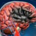 A campanha Agosto Azul e Vermelho conscientiza sobre saúde vascular e prevenção de doenças como infarto, AVC e trombose. Saiba como Vitória promove ações para o bem-estar da população.
