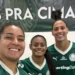 TV Brasil transmite ao vivo neste domingo (24) a semifinal da Série A1 do Campeonato Brasileiro Feminino entre Palmeiras e Cruzeiro. Acompanhe pelo sinal aberto, TV por assinatura ou online via TV Brasil Play.