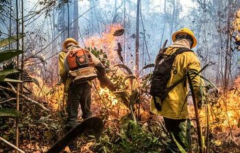 Dados do Inpe indicam queda histórica nos incêndios florestais no Brasil em 2025. Governo federal amplia brigadistas, realiza queimas controladas e investe em equipamentos para prevenir desastres ambientais, destacando ações no Pará para a COP 30.