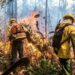 Dados do Inpe indicam queda histórica nos incêndios florestais no Brasil em 2025. Governo federal amplia brigadistas, realiza queimas controladas e investe em equipamentos para prevenir desastres ambientais, destacando ações no Pará para a COP 30.