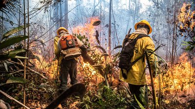 Dados do Inpe indicam queda histórica nos incêndios florestais no Brasil em 2025. Governo federal amplia brigadistas, realiza queimas controladas e investe em equipamentos para prevenir desastres ambientais, destacando ações no Pará para a COP 30.