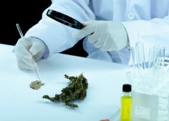 Embrapa, The Green Hub e Instituto Ficus firmam acordo para fomentar pesquisa, inovação e desenvolvimento sustentável da cadeia produtiva de cannabis no Brasil, com criação de observatório de tendências e plataforma de inovação aberta.
