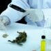 Embrapa, The Green Hub e Instituto Ficus firmam acordo para fomentar pesquisa, inovação e desenvolvimento sustentável da cadeia produtiva de cannabis no Brasil, com criação de observatório de tendências e plataforma de inovação aberta.