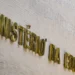 O Ministério da Educação (MEC) lançou, nesta quinta-feira (21), o curso Mais Ensino Médio, voltado para a formação de professores dessa etapa do ensino básico. Gratuito e online, o curso tem carga horária de 180 horas e já está disponível na plataforma Avamec.