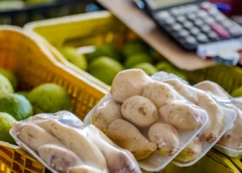 Conab aponta queda de até 31% no preço da batata e 25% na cebola em julho nas Ceasas. Tomate, cenoura, alface e frutas como laranja, banana e mamão tiveram oscilações.