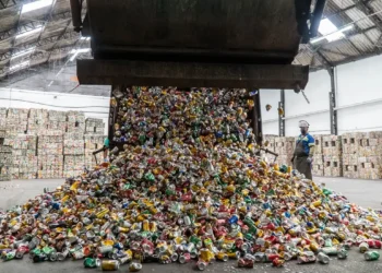 Dados da Recicla Latas mostram que o Brasil reciclou 97,3% das latas de alumínio em 2024, mantendo taxa elevada pelo 16º ano consecutivo, graças à atuação de catadores e à logística reversa.