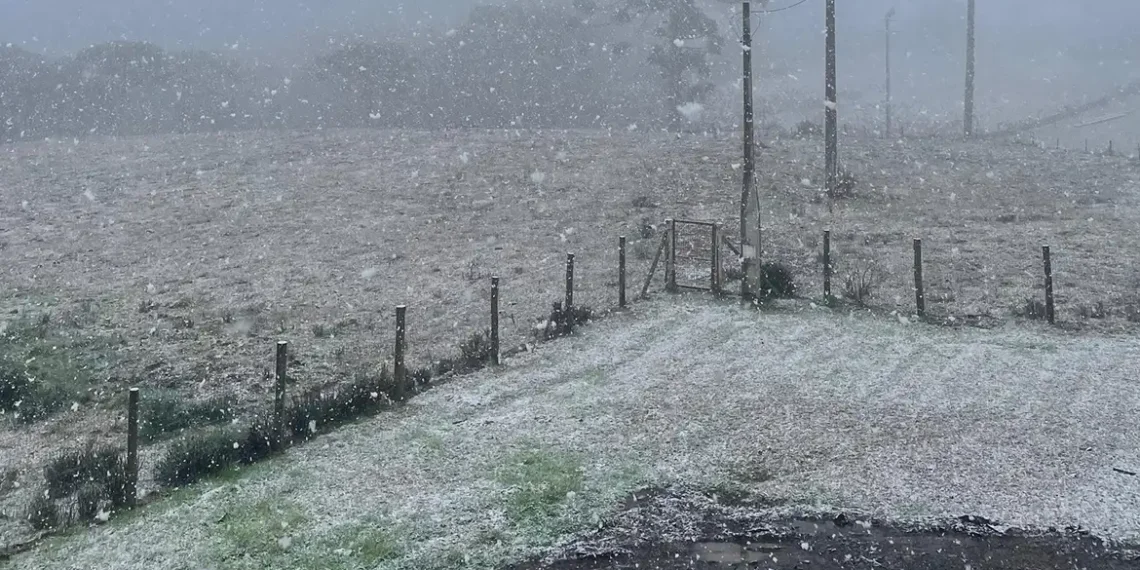 Diversas cidades do Rio Grande do Sul amanheceram com neve neste sábado (9), graças a uma massa polar que traz temperaturas próximas de 0ºC. A Defesa Civil confirma o fenômeno sem transtornos, e o frio deve se intensificar até a próxima semana no Sul e em outras regiões do Brasil.