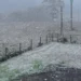 Diversas cidades do Rio Grande do Sul amanheceram com neve neste sábado (9), graças a uma massa polar que traz temperaturas próximas de 0ºC. A Defesa Civil confirma o fenômeno sem transtornos, e o frio deve se intensificar até a próxima semana no Sul e em outras regiões do Brasil.