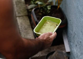 Mais de 121 mil casos de chikungunya foram registrados no Brasil em 2025. Especialistas destacam desafios no controle do mosquito Aedes e alertam sobre efeitos da suspensão da vacina pelo FDA.