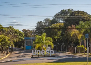 Vestibular Unesp 2025 oferece 5.867 vagas em 136 cursos de graduação em 24 cidades paulistas. Inscrições até 8 de outubro, taxa de R$ 210 com descontos para alunos da rede pública.