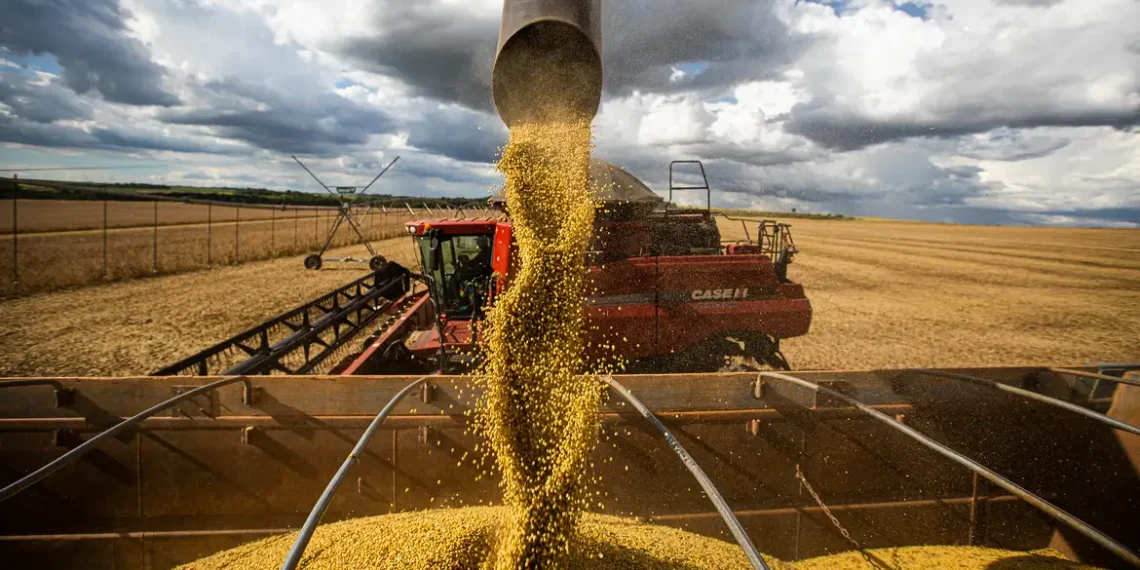 Inflação de agosto registra índice negativo de 0,11%, impulsionada pela queda nos preços de alimentos como arroz, tomate e batata. Governo comemora safra recorde e redução no custo de vida.