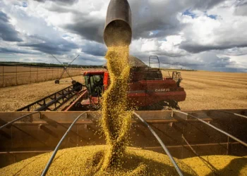 Inflação de agosto registra índice negativo de 0,11%, impulsionada pela queda nos preços de alimentos como arroz, tomate e batata. Governo comemora safra recorde e redução no custo de vida.