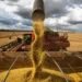 Inflação de agosto registra índice negativo de 0,11%, impulsionada pela queda nos preços de alimentos como arroz, tomate e batata. Governo comemora safra recorde e redução no custo de vida.