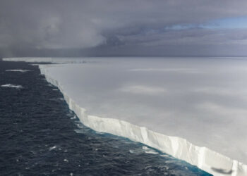 O maior iceberg do mundo, A23a, perdeu cerca de 1.000 km² no inverno antártico. Segundo o Instituto de Pesquisa do Ártico e Antártico, sua área atual é de 1.750 km², o que equivale a São Petersburgo.