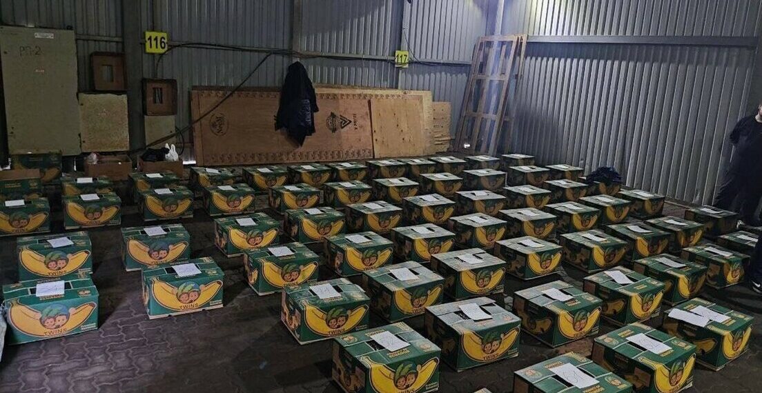 Rússia realiza a maior apreensão de cocaína de sua história: 1,5 tonelada da droga escondida em bananas, avaliada em US$ 240 milhões. Navio saiu do Equador.