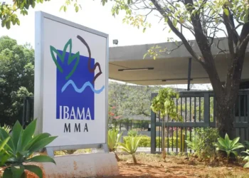 O Ministério da Gestão e da Inovação (MGI) autorizou a nomeação de 460 aprovados no concurso de 2025 do Ibama, incluindo analistas ambientais e administrativos. Remuneração é de R$ 9.994,60, com gratificações para especialização, mestrado e doutorado.