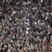 Botafogo e Vasco se enfrentam nesta quinta-feira no Nilton Santos pelas quartas de final da Copa do Brasil; torcida alvinegra prepara celebração com faixas, fumaça e fogos.