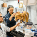 Prefeitura de Vitória abre processo seletivo simplificado para engenheiros e médico veterinário com inscrições online e salários de até R$ 7.200.