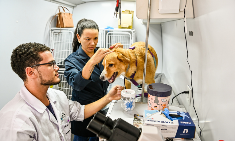 Prefeitura de Vitória abre processo seletivo simplificado para engenheiros e médico veterinário com inscrições online e salários de até R$ 7.200.