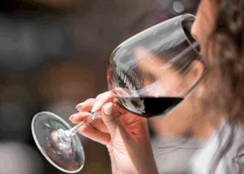 O Brasil está entre os países latino-americanos com maior consumo de álcool. Grupo Al-Anon atua há 60 anos oferecendo apoio a familiares de dependentes.