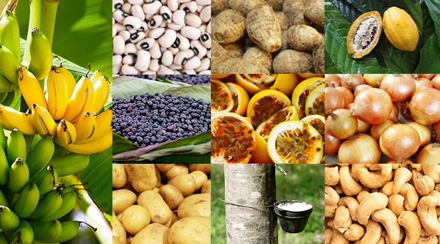 PGPAF de setembro amplia descontos no Pronaf para agricultores familiares. Produtos como alho, feijão, mandioca, cebola e trigo estão entre os contemplados pela nova portaria do MDA.