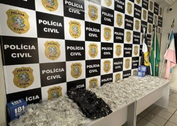Polícia Civil do Espírito Santo apreende 446 unidades de cogumelos alucinógenos em Vitória durante Operação PsicoSe. Homem de 37 anos é preso por tráfico de drogas.