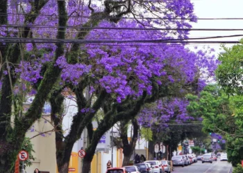 Primavera de 2025 começa com frente fria, temporais, ventos fortes e queda de temperaturas no Sul, Sudeste e Centro-Oeste do Brasil. Geadas podem ocorrer em algumas regiões.
