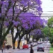 Primavera de 2025 começa com frente fria, temporais, ventos fortes e queda de temperaturas no Sul, Sudeste e Centro-Oeste do Brasil. Geadas podem ocorrer em algumas regiões.