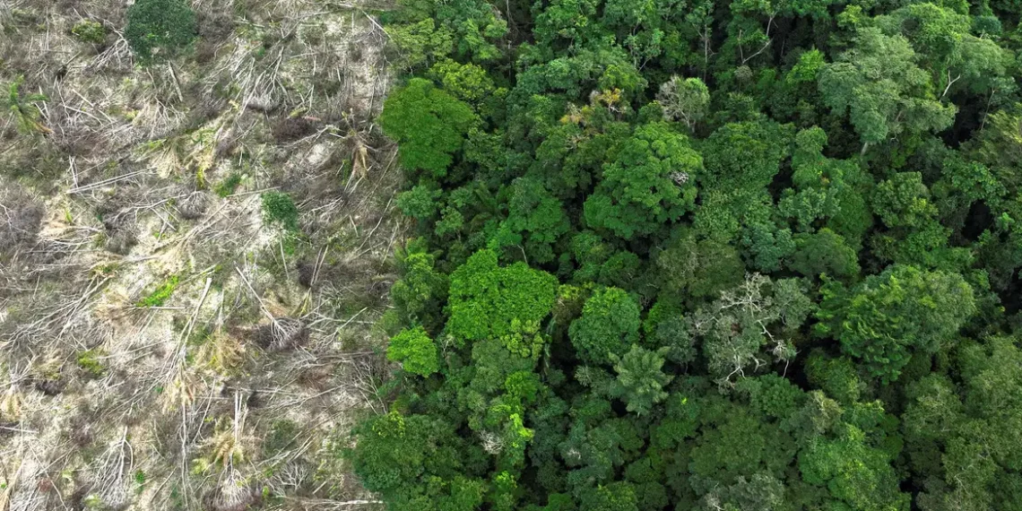 Estudo da USP revela que a Amazônia brasileira enfrenta seca mais severa e aumento de temperatura, com o desmatamento e as mudanças climáticas globais impactando diretamente a floresta e o ciclo hidrológico do bioma.