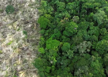 Estudo da USP revela que a Amazônia brasileira enfrenta seca mais severa e aumento de temperatura, com o desmatamento e as mudanças climáticas globais impactando diretamente a floresta e o ciclo hidrológico do bioma.