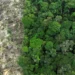 Estudo da USP revela que a Amazônia brasileira enfrenta seca mais severa e aumento de temperatura, com o desmatamento e as mudanças climáticas globais impactando diretamente a floresta e o ciclo hidrológico do bioma.