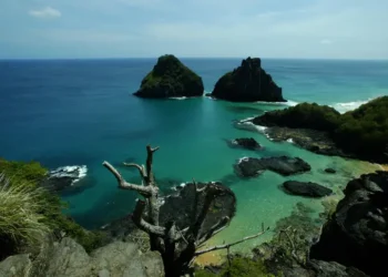 Pesquisa do Ministério do Turismo mostra que redes sociais são a principal ferramenta de pesquisa de viagens para brasileiros, especialmente jovens mulheres com ensino superior.