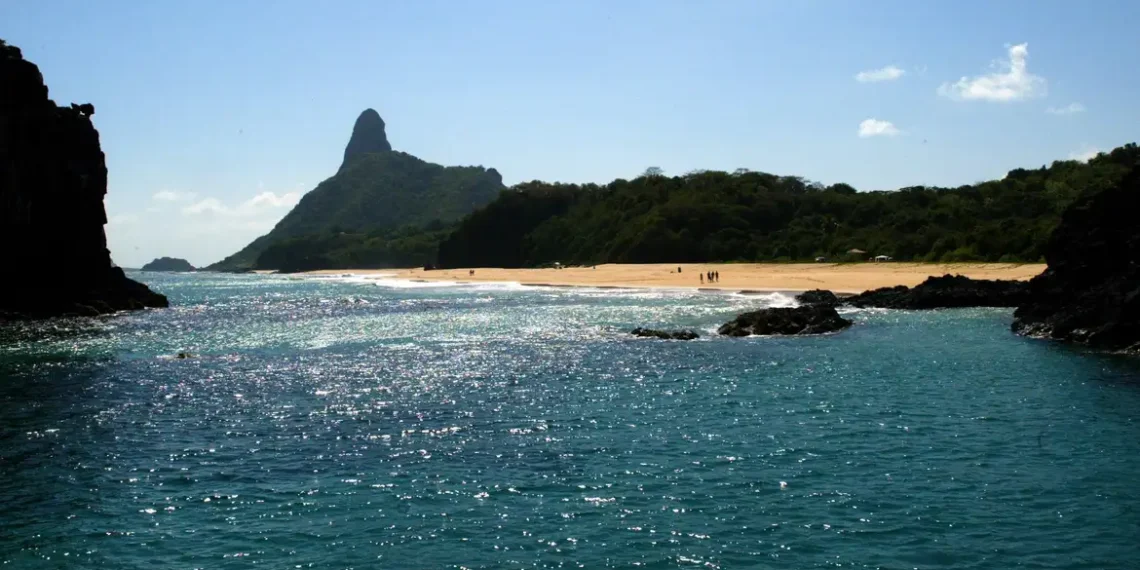 Pesquisa internacional destaca que ilhas brasileiras, como Fernando de Noronha e Trindade, concentram espécies endêmicas raras, podendo rivalizar com Galápagos em biodiversidade marinha.