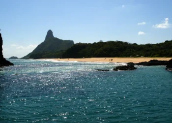 Pesquisa internacional destaca que ilhas brasileiras, como Fernando de Noronha e Trindade, concentram espécies endêmicas raras, podendo rivalizar com Galápagos em biodiversidade marinha.