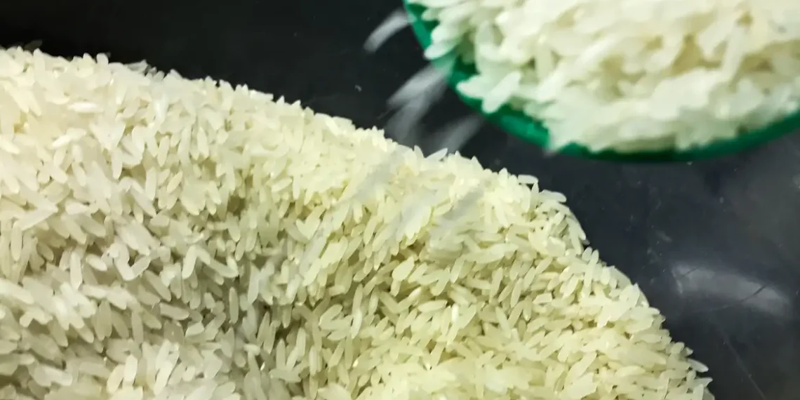 A Conab anunciou R$ 300 milhões para contratos de opção de venda de arroz na safra 2025/26. A ação deve beneficiar produtores, garantir preços justos e reforçar os estoques públicos.