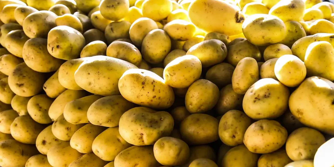 Tubérculos, ovos e verduras registraram queda nos preços em agosto e ajudaram a frear a inflação em São Paulo, segundo pesquisa APAS/FIPE. Batata e cebola foram os destaques da deflação.