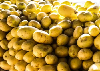 Tubérculos, ovos e verduras registraram queda nos preços em agosto e ajudaram a frear a inflação em São Paulo, segundo pesquisa APAS/FIPE. Batata e cebola foram os destaques da deflação.