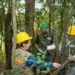 Em 40 anos, Itaipu triplicou a diversidade em sua área de preservação, que hoje abriga 397 espécies de árvores e arbustos. O inventário da hidrelétrica, em parceria com a Embrapa, reforça o papel da proteção ambiental para garantir energia limpa nas próximas décadas.