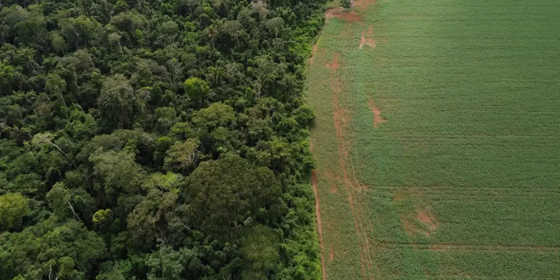 Lula e António Guterres lideram diálogo na ONU sobre o Fundo Florestas Tropicais para Sempre, que prevê US$ 25 bilhões em aportes e pode mobilizar até US$ 100 bilhões do setor privado para conservação.